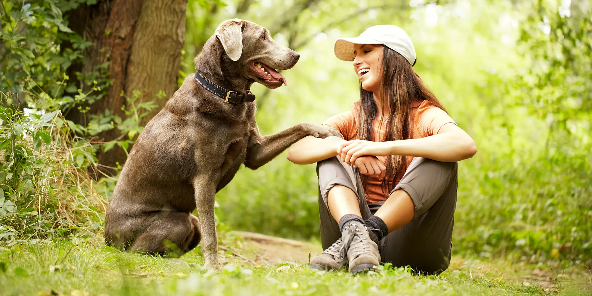 Nature s Recipe Dog Food Post Consumer Brands