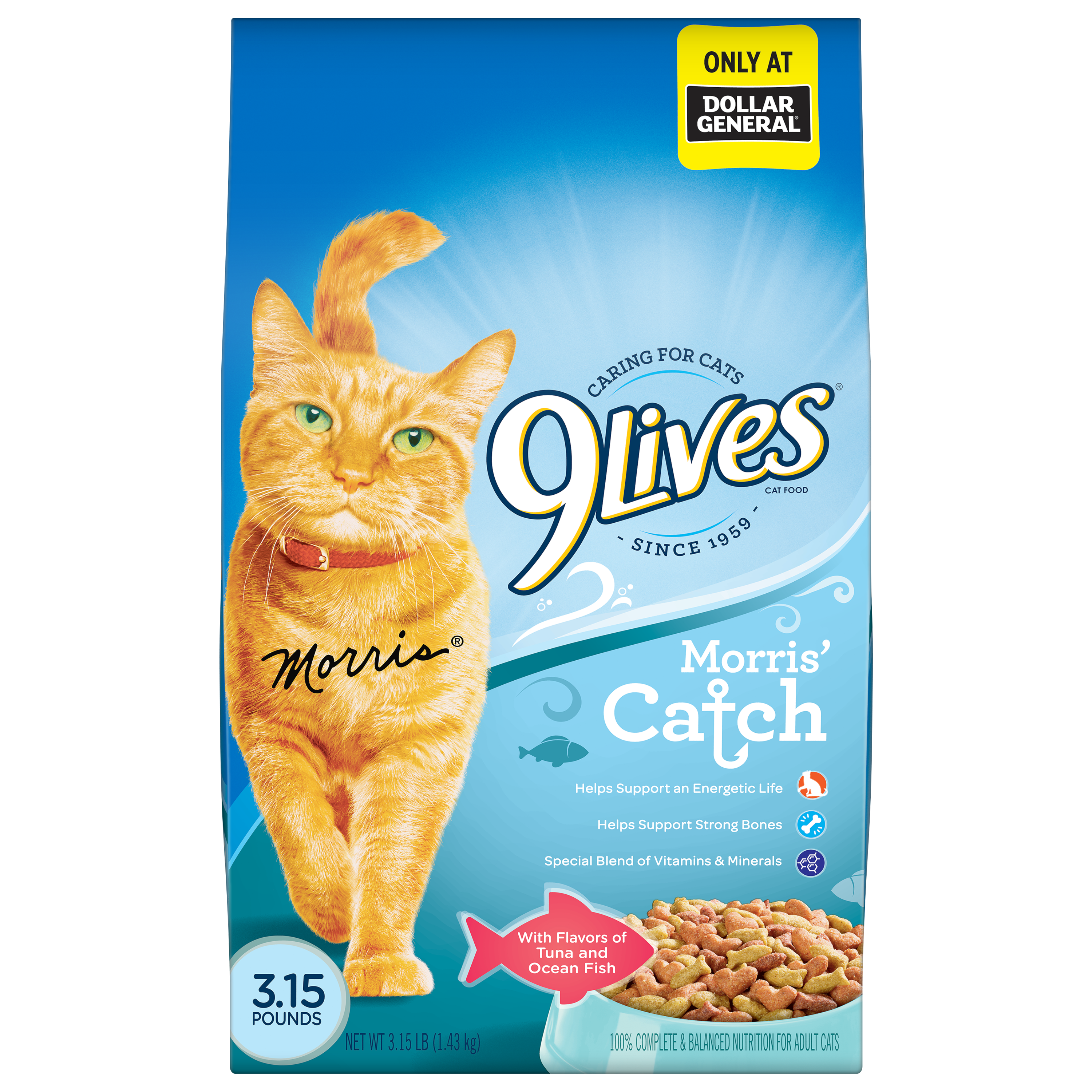 9Lives Morris Catch Dry Cat Food Post Consumer Brands